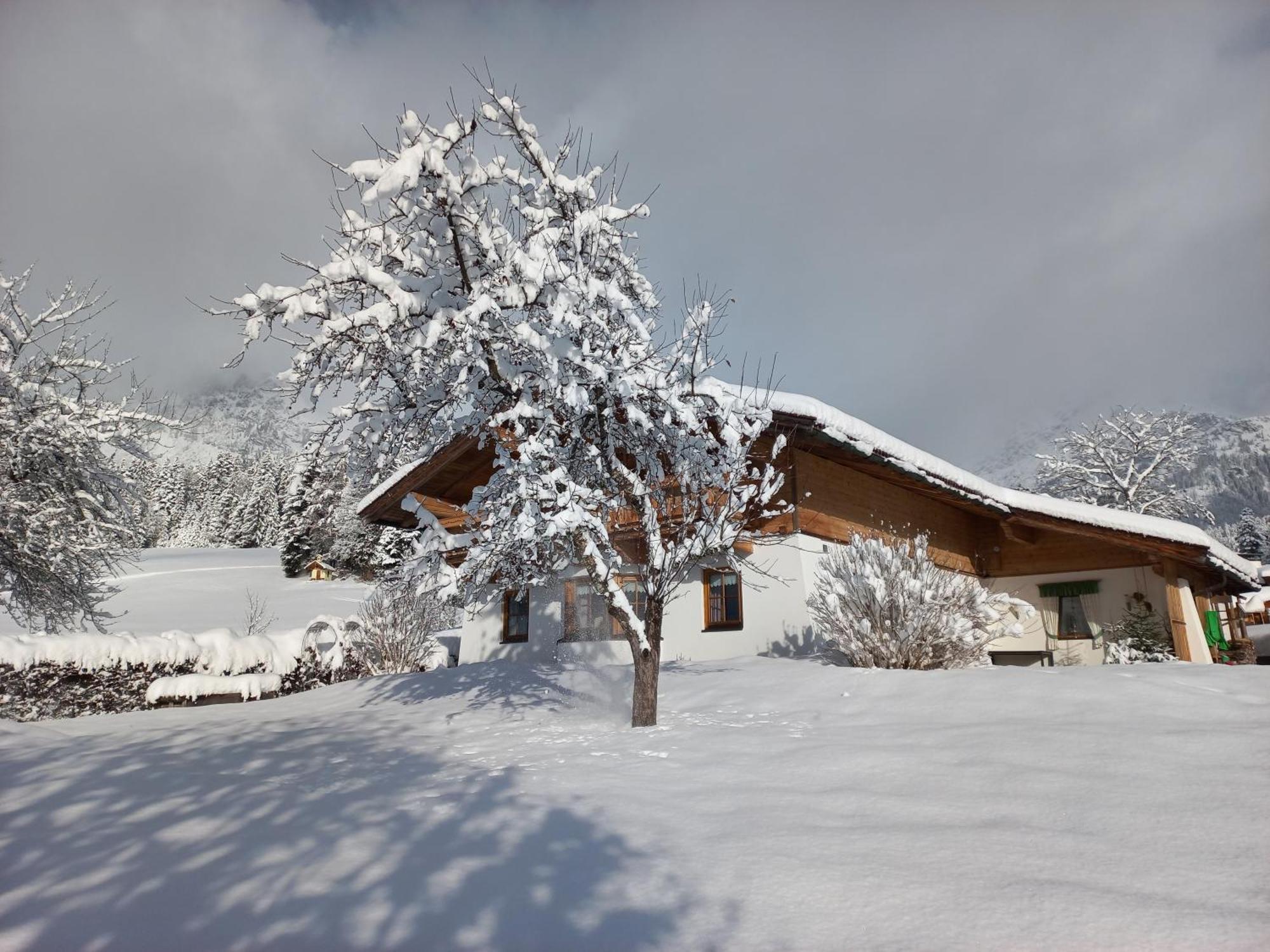 Chalet Gluecklich Sein... Ellmau Bagian luar foto